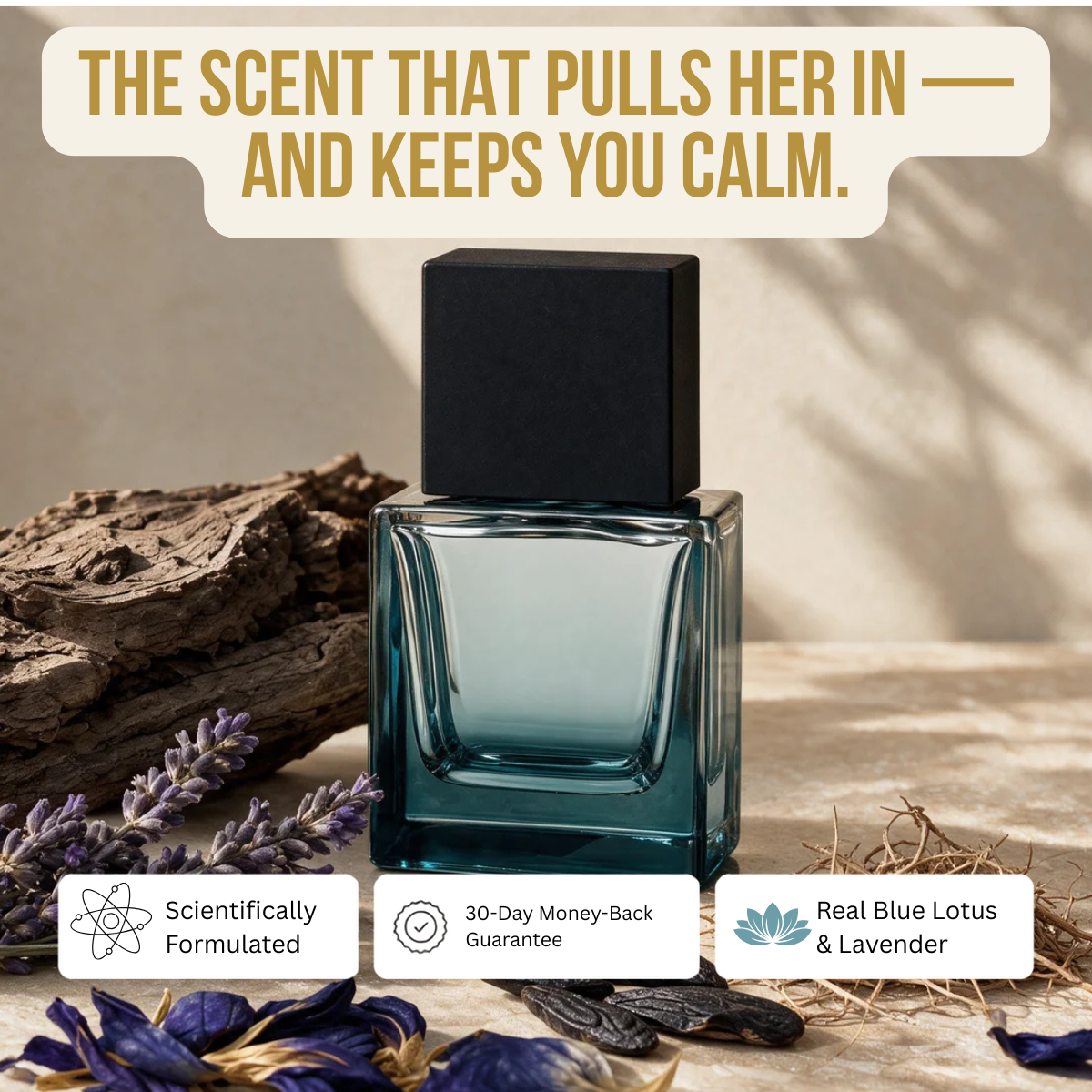 Sella Calm & Attractive No. 1