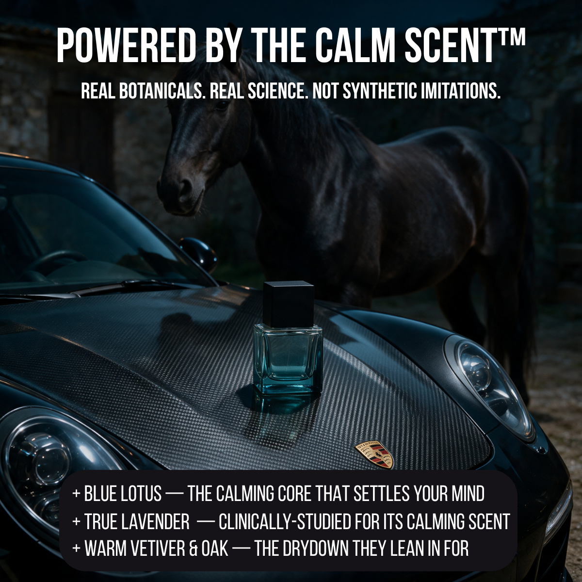 Sella Calm & Attractive No. 1
